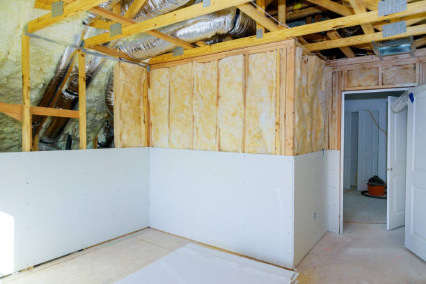 Best Geographic-Specific Insulation Services in Canadian Lakes, MI