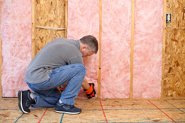 Best Cellulose Insulation in Canadian Lakes, MI